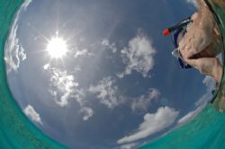 Taking a break from snorkeling, I accidentally triggered ... by David Heidemann 